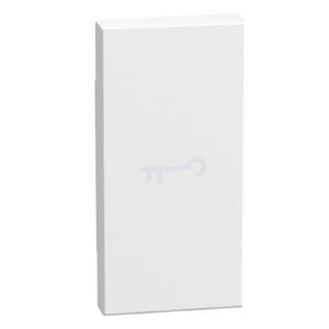 Light Now axiale toets met pictogram sleutel 1 module - wit