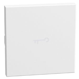 Light Now axiale toets met pictogram sleutel 2 modules - wit
