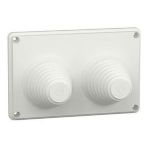 KABELDOORVPL 2 ING. 33-72 IP55 Prisma G