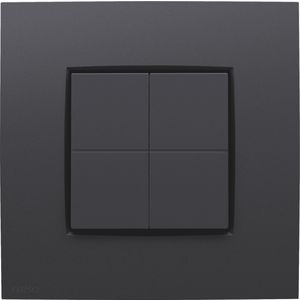 Dimschakelaar voor het Hue systeem Intense anthracite coate