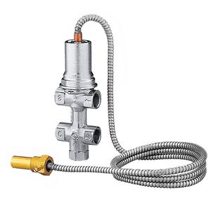 Thermische veiligheidsklep + voeler + vulinr. 1/2"bn. 100gr.