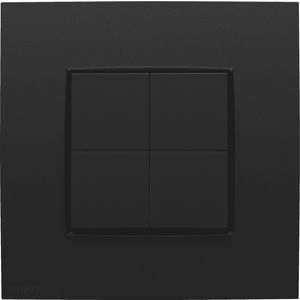 Dimschakelaar voor het Hue systeem Intense matt black coate