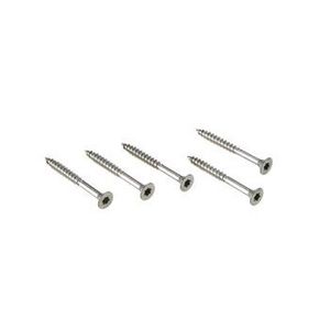Zak met 30 schroeven RVS 5x5mm Solar