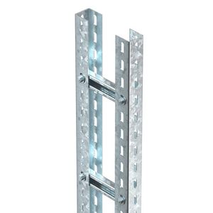 Lengte a 3m. Verticale ladder sportenafstand 300mm 200mm