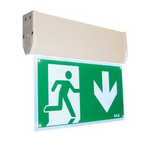 LED noodverlichting Plafondmontage wit IP20