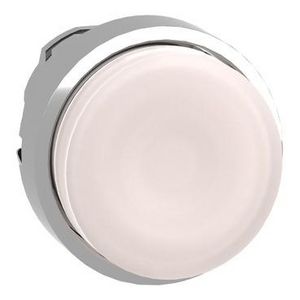 Kop voor verlichte drukknop Ø22mm Wit