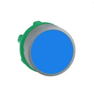 blue flush pushbutton head colour plated grey