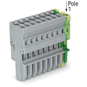 1-draads female steker CAGE CLAMP 4mm2 groen-geel/gr VVE=20
