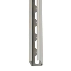 Lengte a 2m. Montagerail RVS R4 35x46mm VVE=8