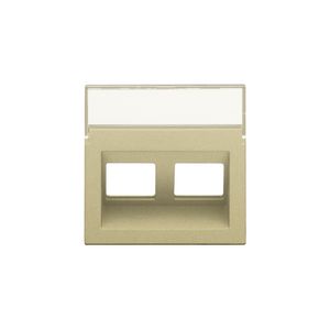 Centraalplaat data 2x RJ schuine uitgang gold coated