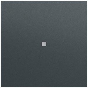 Wip 1-v onbedrukt ctrl.v. System 70 antracit(gel.)