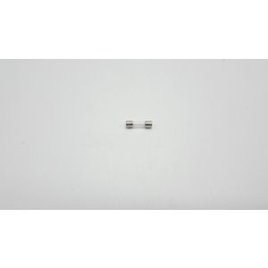 Glaszekering 2,5 A (traag)