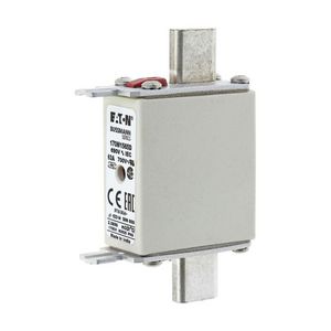 Zekering hoge snelheid 63A AC 690V 200kA 000 gR IEC VVE=10