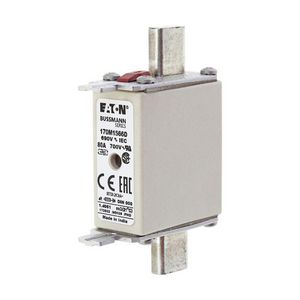 Zekering hoge snelheid 80A AC 690V 200kA 000 aR IEC VVE=10
