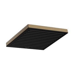 Pulsify E Hoofddouche 260 1 straalsoort Brushed Bronze