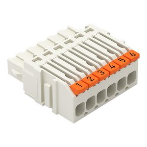 1-draads female steker Hendel Push-in CAGE CLAMP VVE=100