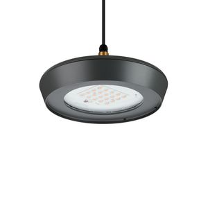 BSS300 LED60/730-1P DM16P SRT G1