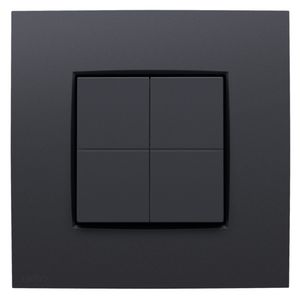 Dimschakelaar voor het Hue systeem Intense anthracite coate