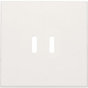 Afwerkingsset dubbele smart USB-C-lader white