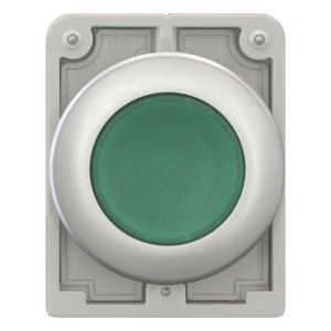 Signaaldrukknop 30mm vlak groen terugverend