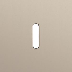 Enkelvoudige afdekpl. enkelvoudige schakelfuncties Rocke