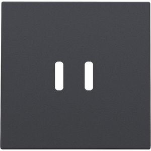 Afwerkingsset dubbele smart USB-C-lader anthracite coated