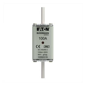 Zekering laagsp. 100A AC 500V NH1 gL/gG dubbele meld VVE=3
