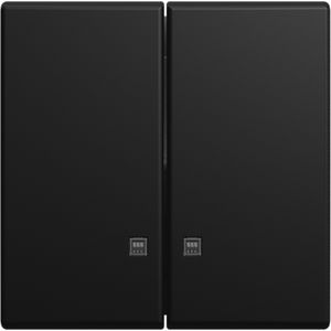 Bedieningswip tbv afdekking inbouw seriecontroleschakelaar, met 2 transparante lenzen matzwart SI-Balance (2505 K-915)