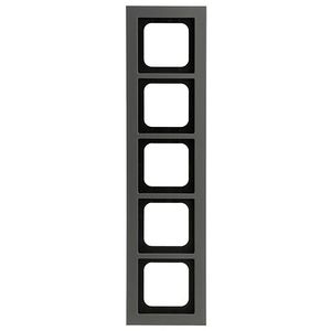 Afdekraam 5v ax-platin (1725-270)