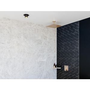 Hoofddouche 300 Raindance E 1 straalsoort met plafondaansl. 26250140 brushed bronze