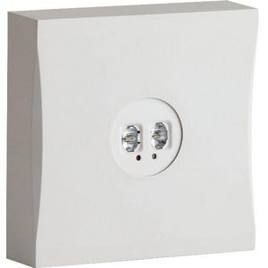 Noodverlichtingsarmatuur opb. 24V 220lm centr.