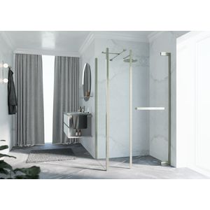 Douchedeur met vast paneel N180 type GFL 100 bereik 990-1020x2000mm helder glas brushed inox