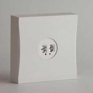 Noodverlichtingsarmatuur opb. 3u NP 220lm 3,4W DALI