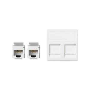 2x RJ45 Cat.6 inbouwmodule wit 45x45mm