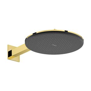 Hoofddouche Raindance Alive S 300 2 straalsoorten EcoSmart Polished Gold-Optic