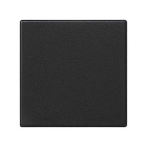 Blindplaat zwart 45x45mm