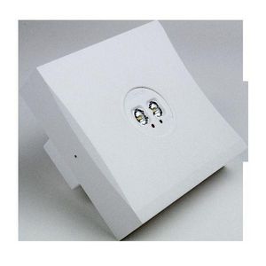 Noodverlichtingsarmatuur opb. 1u TRACK 2x3W