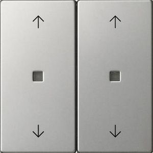 Wip 2-v pijlen ctrl.v. System 55 edelstaal
