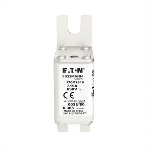 Zekering hoge snelheid 315A AC 690V 00 28x51x98mm aR VVE=6