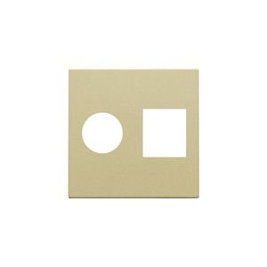 Afwerkingsset enkelvoudige coax/netwerkaans. RJ45 gold