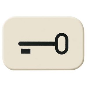 Sleutelsymbool voor bedieningswip SI/AP creme (2525 TR)