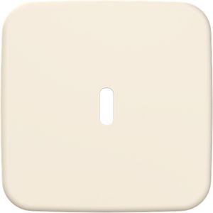 Afdekking voor USB-C voeding 65W. SI creme (6479-212)