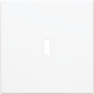 Afdekking voor USB-C voeding 65W. SI-B-alpinwit (6479-914)
