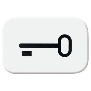 Sleutelsymbool voor bedieningswip R-alpinwit (2525 TR-214)