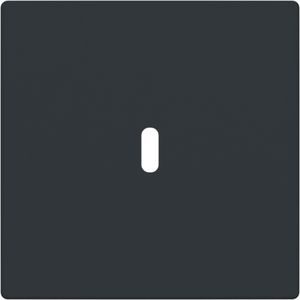 Afdekking voor USB-C voeding 65W. f-antraciet (6479-81)