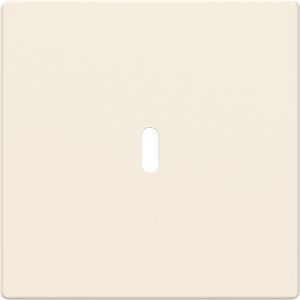 Afdekking voor USB-C voeding 65W. s-ivoor (6479-82)