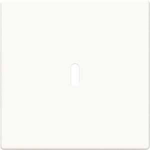 Afdekking voor USB-C voeding 65W. f-studiowit (6479-84)