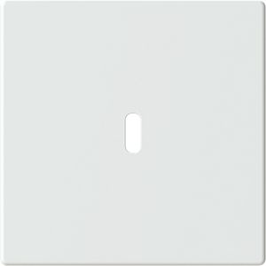 Afdekking voor USB-C voeding 65W. f-matwit (6479-884)