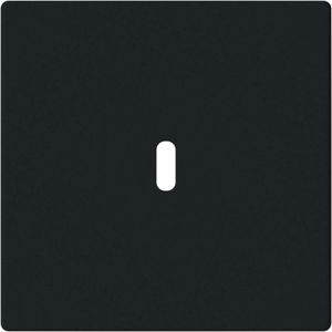 Afdekking voor USB-C voeding 65W. f-matzwart (6479-885)