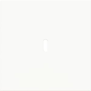 Afdekking voor USB-C voeding 65W. art-wit (6479-44G)